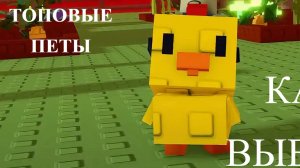 КАК ВЫБИВАТЬ ТОПОВЫХ ПЕТОВ И РАСТЕНИЕ?! / РАССКАЗЫВАЮ ПРО ГАРАНТ / РОБЛОКС ВЫРАСТИ САД