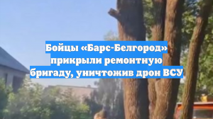 Бойцы «Барс-Белгород» прикрыли ремонтную бригаду, уничтожив дрон ВСУ