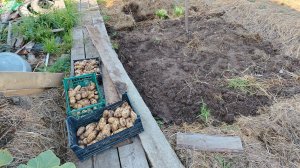 Начало положено. Что будет дальше?