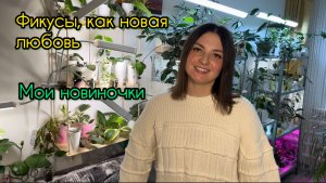 Показала свои новиночки.
