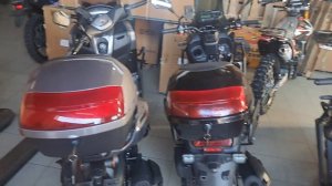 Отправка Гюрза М12 г. Астрахань т:89612934363 с 10.00 до 20.00