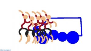 странный вирус покрышка 1 серия