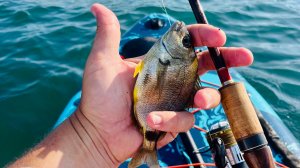 Морской карась на спиннинг с SUP борда в Геленджике