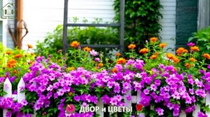 Как красиво посадить цветы во дворе и на участке фото идеи для вдохновения (85)