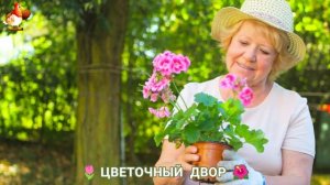 Цветы на участке и во дворе как красиво посадить фото идеи для вдохновения (6)