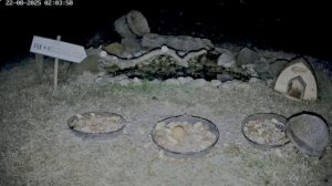 Вот и лисичка отметилась- схватила яйцо и побежала дальше