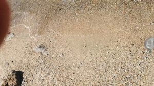 Голубицкая, море 22.08.2025г. 2