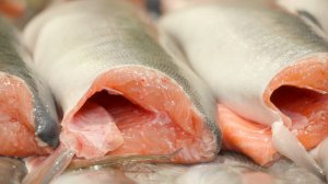 РЫБЫ НА ВСЕХ ХВАТИТ