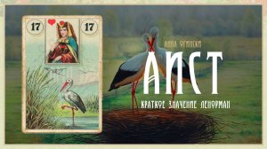 Значение Ленорман: Аисты