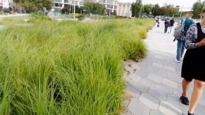 Тундровый синдром в парке Зарядье. Очень красиво и интересно.