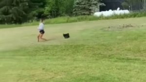 Чтобы начать бегать по утрам, нужен стимул🏃♂️🐔🤣