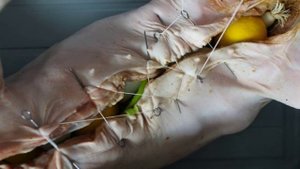 Жареный поросенок