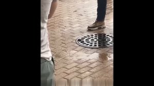 Ежедневная доза юмора