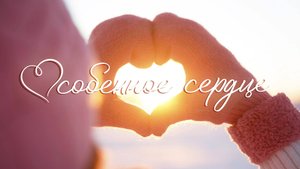 Александр Шалунов - Особенное сердце у России ( Олег Щеглов -Елена Корвин )