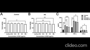 Розувастатин и Кверцетин против диабетической нефропатии: синергия защиты почек и ферроптоза?