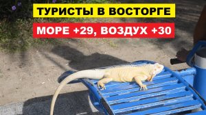 Вьетнам. Нячанг погода сегодня 22 августа 2025 ☀️ Для отдыха идеальная пляжная погода в Нячанге