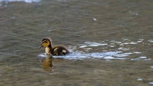 ✨Исцеление тела✨