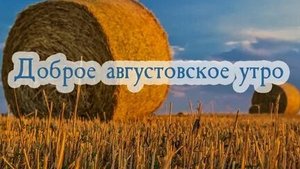 С добрым утром и хорошим днём. Музыкальная открытка поздравление.