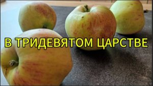 История о том, как Колька в тридевятом царстве побывал