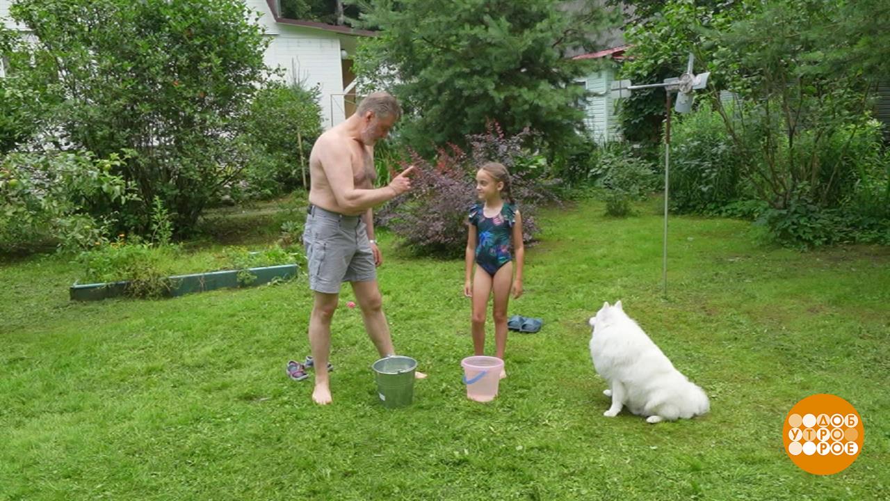 Лето: ешь, гуляй, закаляйся! Доброе утро. Фрагмент выпуска от 22.08.2025