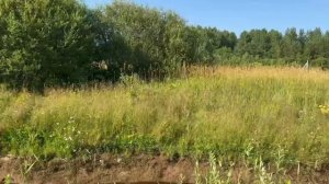 Ладога-Парк, участок 5