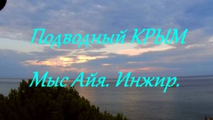 Подводный мир Крыма . Мыс Айя. Инжир.