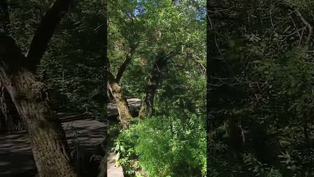 VID-20250822-WA0040.mp4