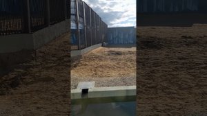 Белый медведь