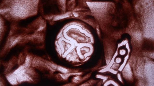 Космическая история