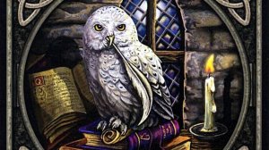 В чем вы заблуждаетесь