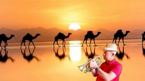 Караван (Чикаго)