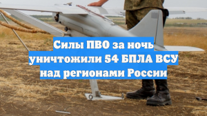 Силы ПВО за ночь уничтожили 54 БПЛА ВСУ над регионами России