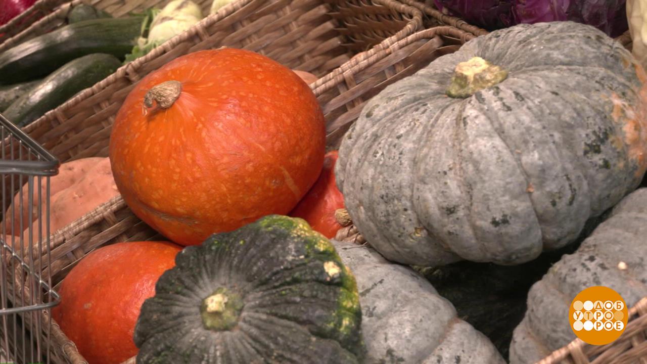 Тыква, покажи хвостик! Доброе утро. Фрагмент выпуска от 22.08.2025