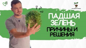 🌱 Почему ваша микрозелень падает? 🤔