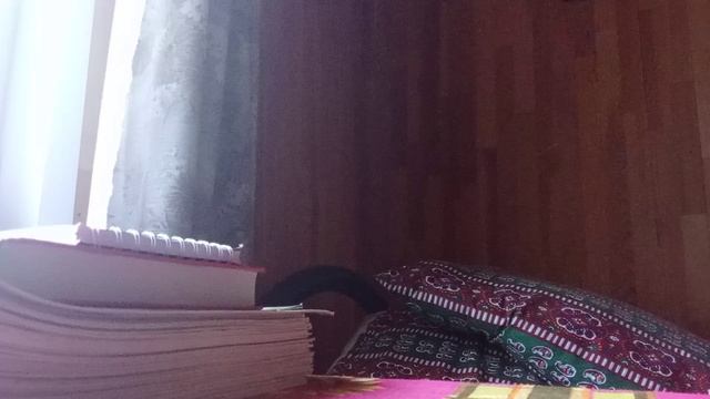 жизнь баскета