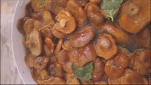 Самый вкусный и правильный способ засолки РЫЖИКОВ! Обалденно вкусно!