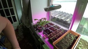 Влог от 02.04.2021