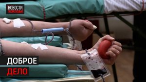 В Химках прошла донорская акция // 360 Химки