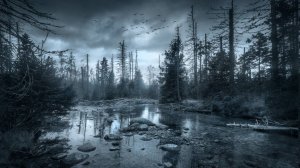 ТАЙГА. МИСТИЧЕСКИЕ ИСТОРИИ ТАЕЖНЫХ ОХОТНИКОВ.