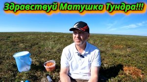 ЗДРАВСТВУЙ МАТУШКА ТУНДРА!