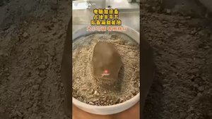 Древние технологии раскрыты