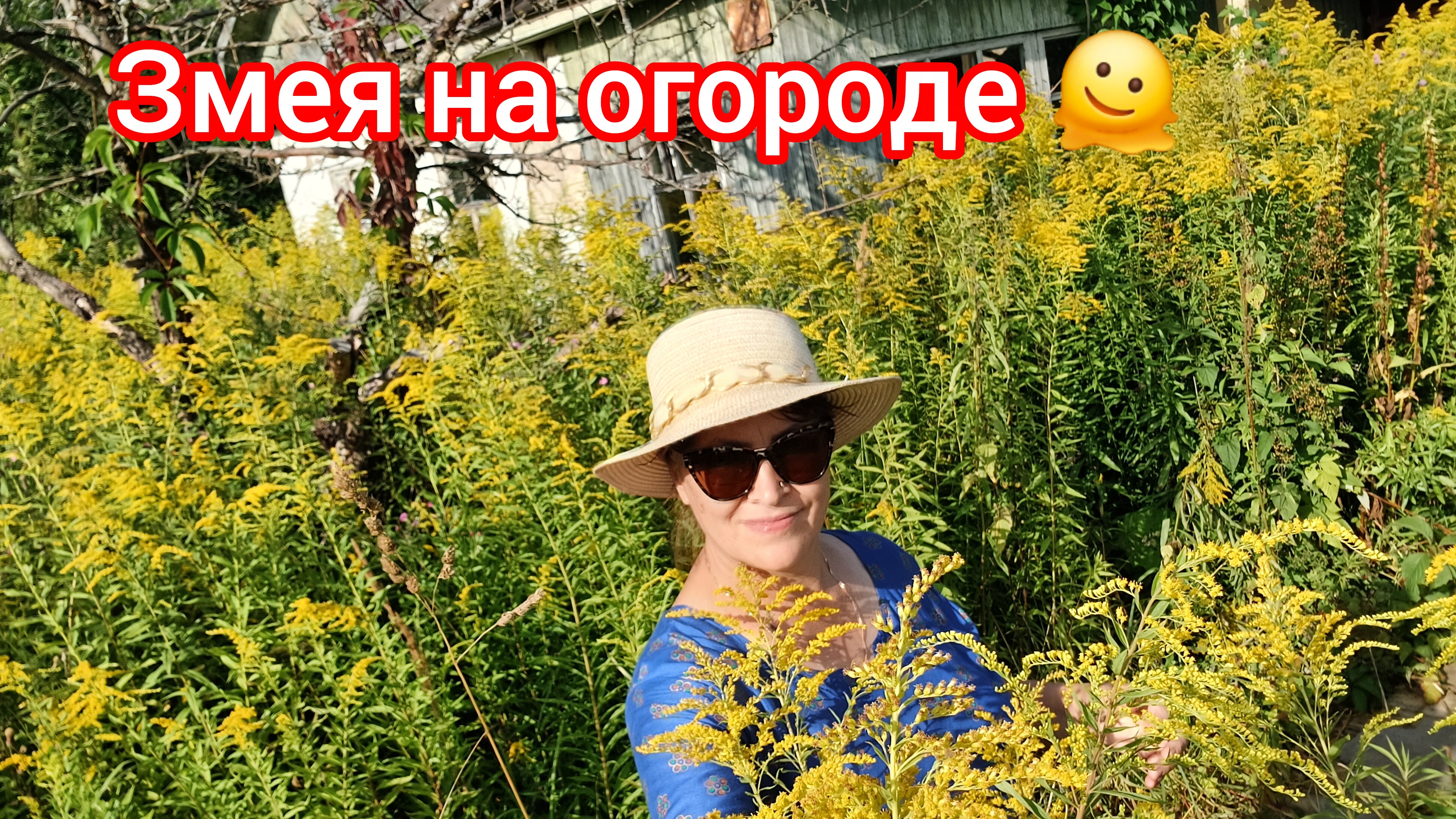У нас на огороде  змеи🐉🫣