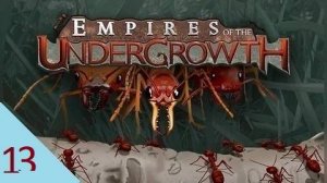 Empires of the Undergrowth 13