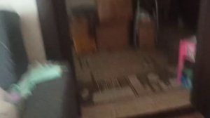 Маруся с плюшевыми кошками проводит вечер