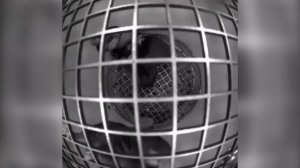 Мышки в космосе: Роскосмос показал видео с грызунами на борту "Биона-М"