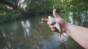 На рыбалку на велосипеде. Попытка мормышинга в Михайловской роще.