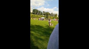 Бронислава