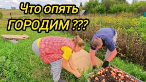 КУПИЛИ ДОМ В ДЕРЕВНЕ | Что опять городим | Про рыбалку | Дом в деревне