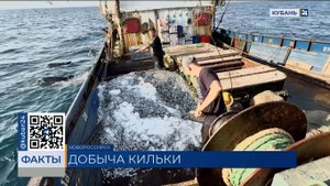 Рыбный промысел в Азовском и Черном морях увеличился на 47%