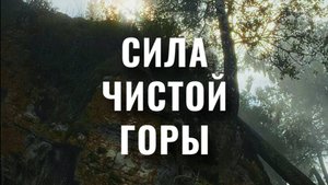 Алтай: Сила Чистой Горы